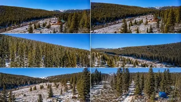 1180 Zebulon Street, Alma, CO 80420