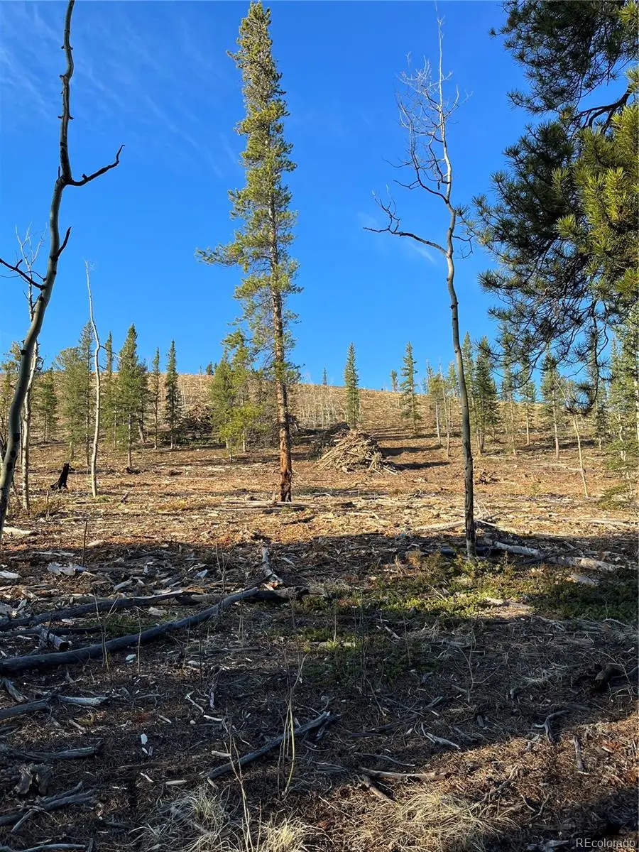 66 Rhodes Court, Fairplay, CO 80440 - Image #2