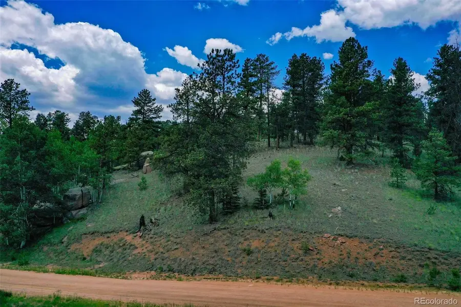525 Spring Valley Lane, Florissant, CO 80816 - #2