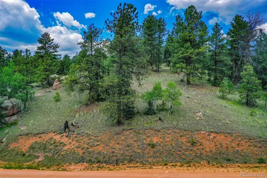 525 Spring Valley Lane, Florissant, CO 80816 - #3