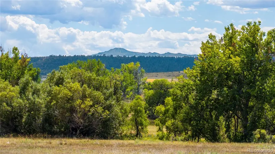 4959 Bayou Gulch Street, Parker, CO 80134 - #2