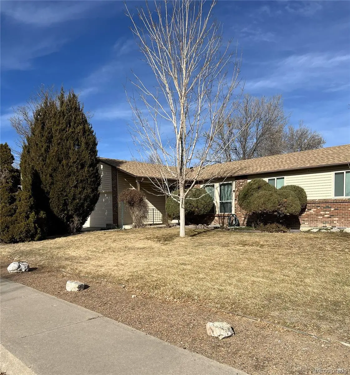 11506 Adams Street, Thornton, CO 80233 - #1