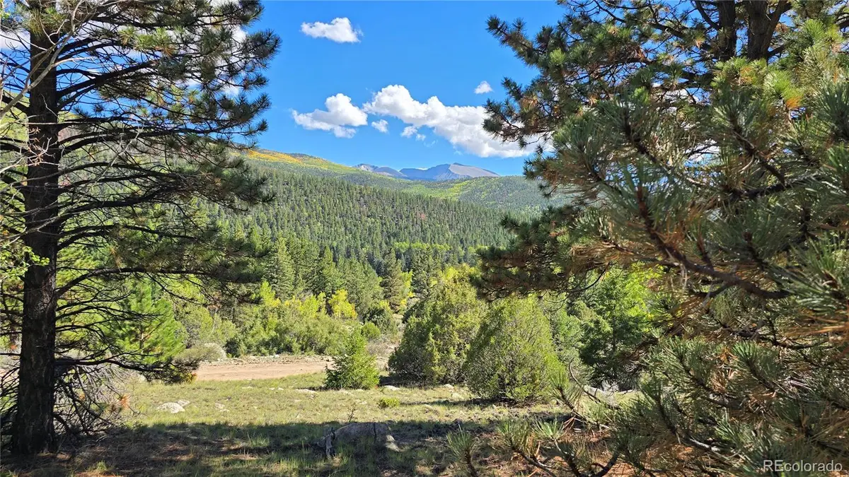 Lots 6301 & 6302 Nicholson, San Luis, CO 81152 - #1