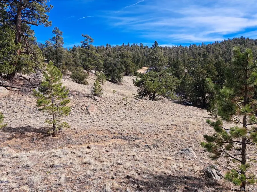 369 Summit Road, Hartsel, CO 80449 - #2