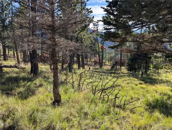 2127 Sigler Drive, Fort Garland, CO 81133