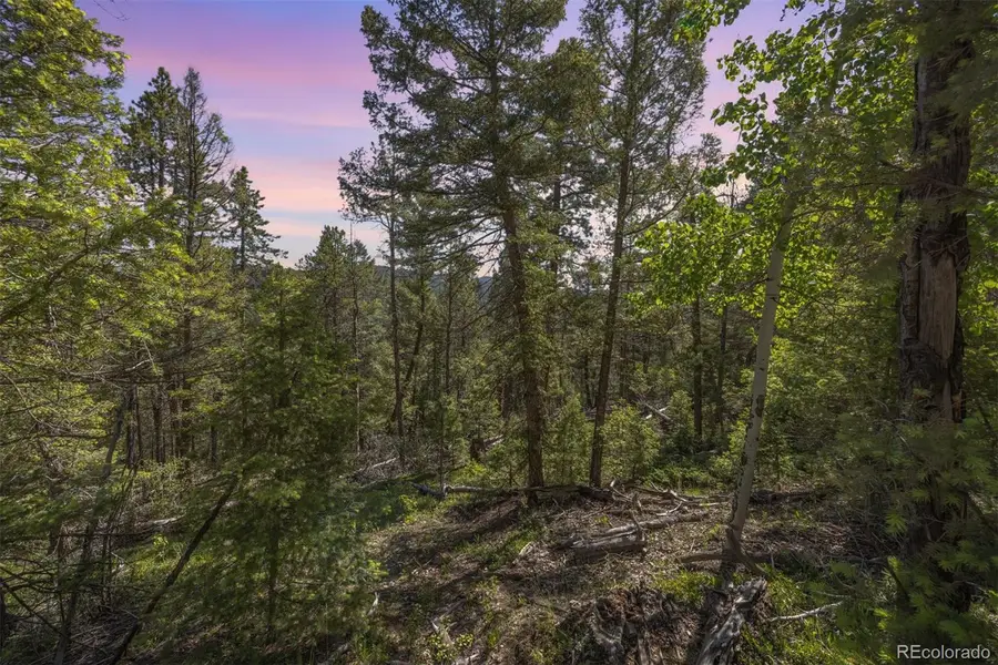 00 Ponderosa Drive, Conifer, CO 80433 - Image #2