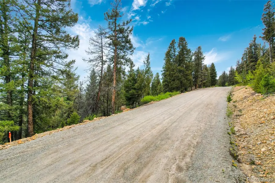 0 Trout Creek Lane, Fairplay, CO 80440 - #2