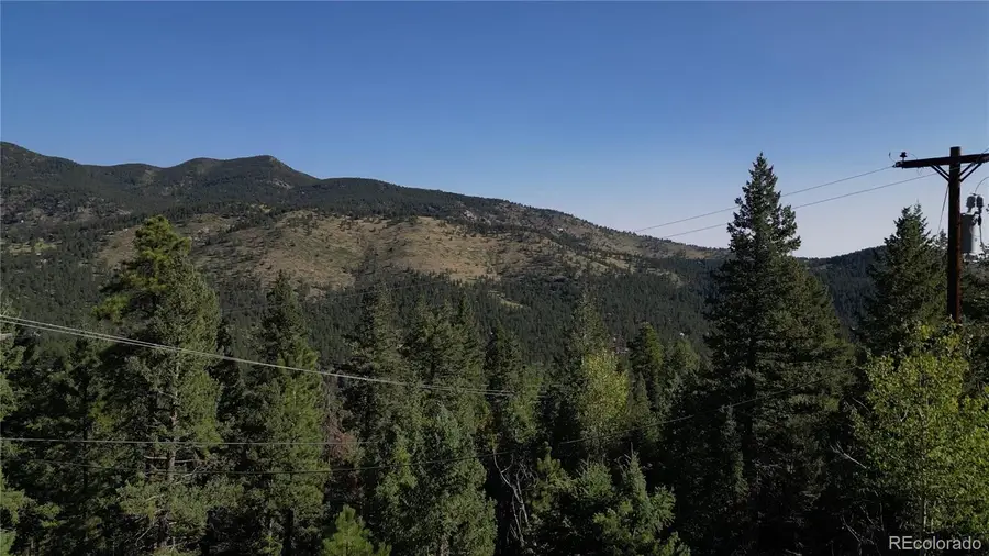 33864 Bergen View, Evergreen, CO 80439 - #2