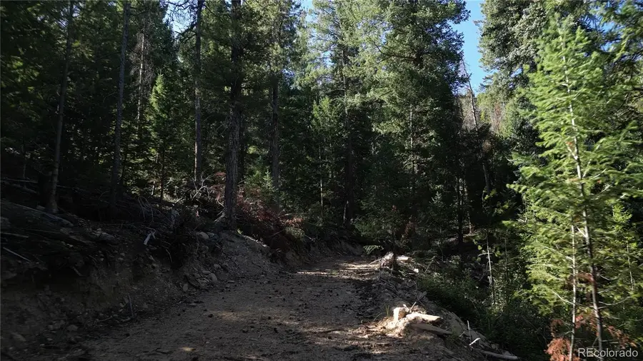 33864 Bergen View, Evergreen, CO 80439 - #3