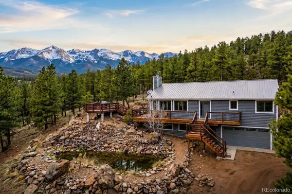 16687 Ouray Road W, Pine, CO 80470