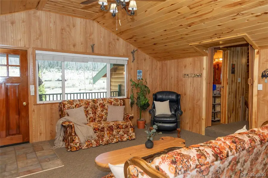 4100 Usfs Rd 515 #460, Creede, CO 81130 - #2