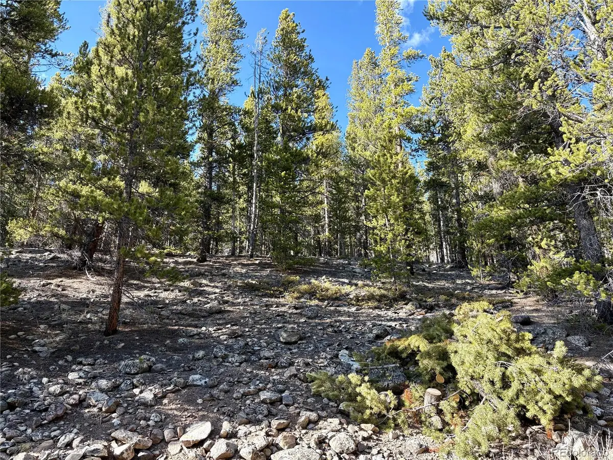 5282 Roy, Leadville, CO 80461 - #1