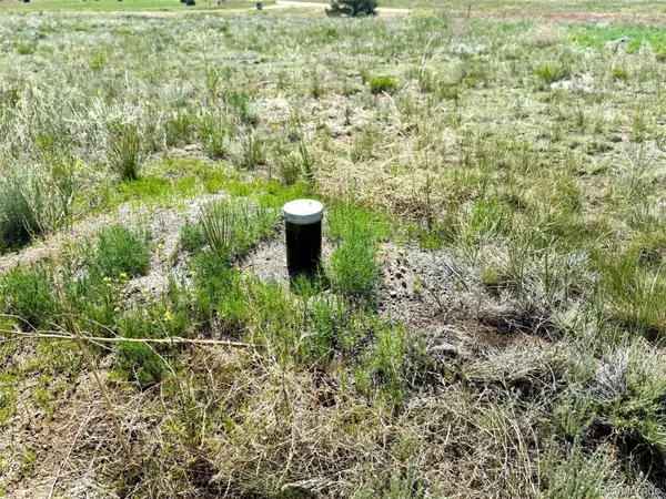 1888 19th Trail, Cotopaxi, CO 81223