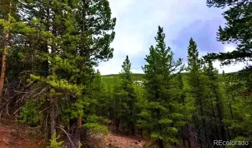 111 Fs Road 752.3b, Gunnison, CO 81231 - #1