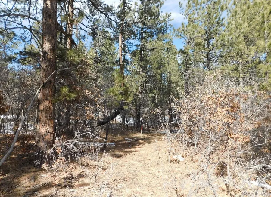 1025 Tenderfoot Drive, Larkspur, CO 80118 - #3