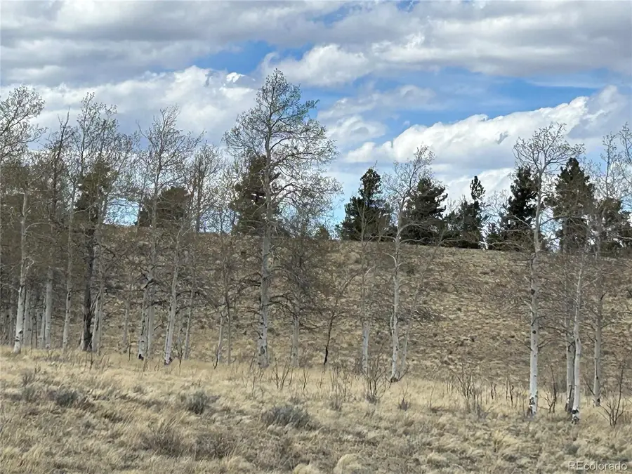 187 Angus Circle, Hartsel, CO 80449 - #2