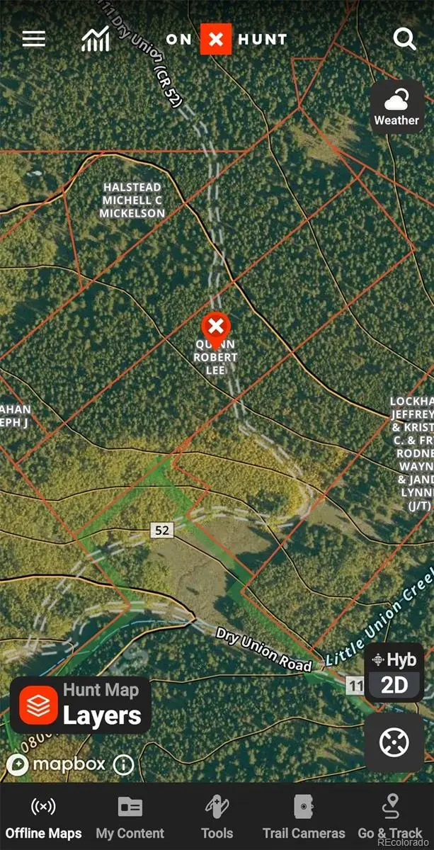 6020 Black Swan, Leadville, CO 80461 - #1