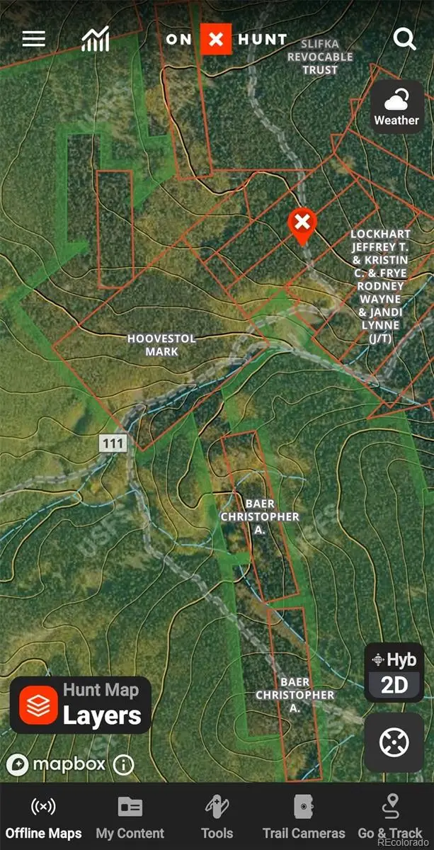 6020 Black Swan, Leadville, CO 80461 - #2