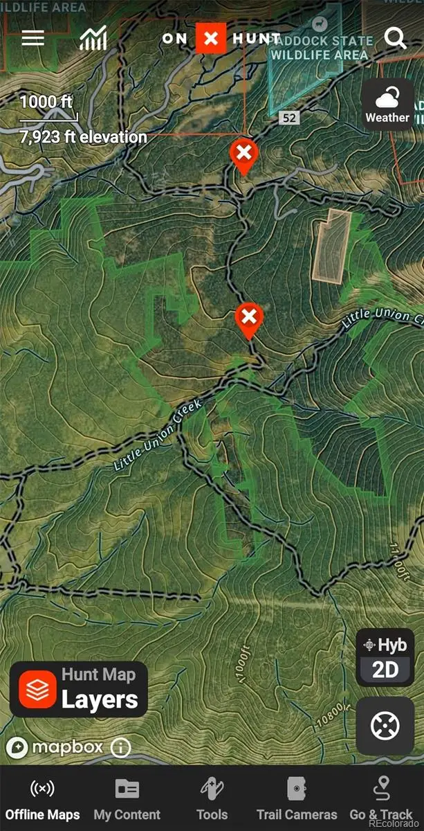 6020 Black Swan, Leadville, CO 80461 - #3