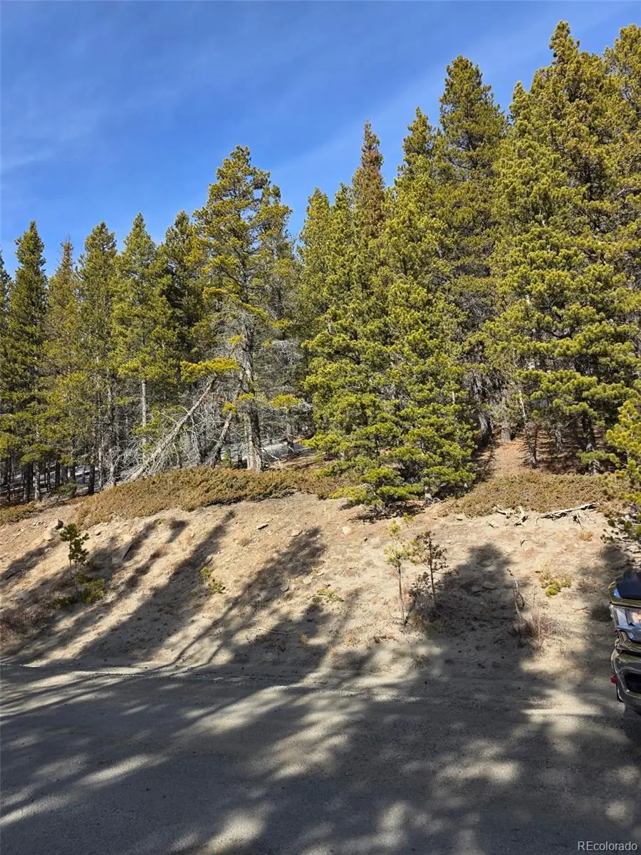 Lot 680 Alice Road, Saint Marys, CO 80453 - #2