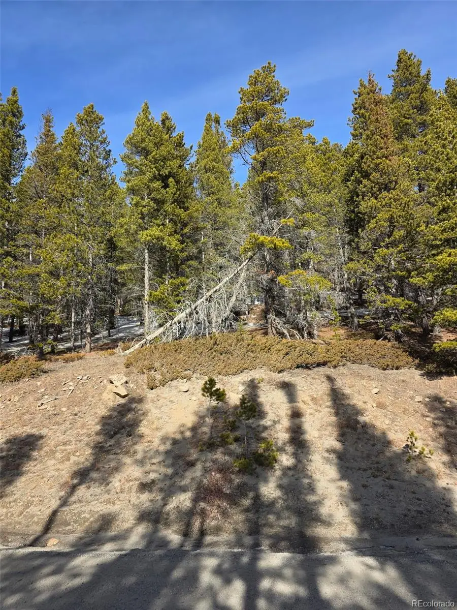 Lot 680 Alice Road, Saint Marys, CO 80453 - #3