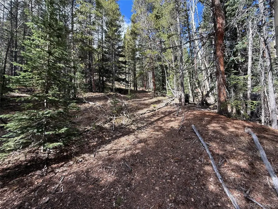 Star Mine Ute Creek, Idaho Springs, CO 80452 - #2