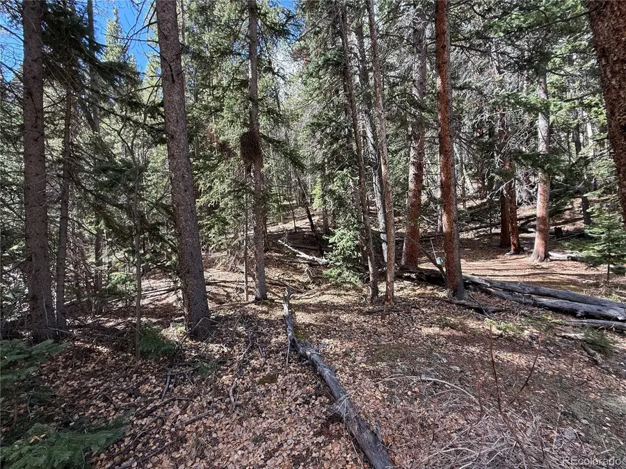 Star Mine Ute Creek, Idaho Springs, CO 80452 - #3