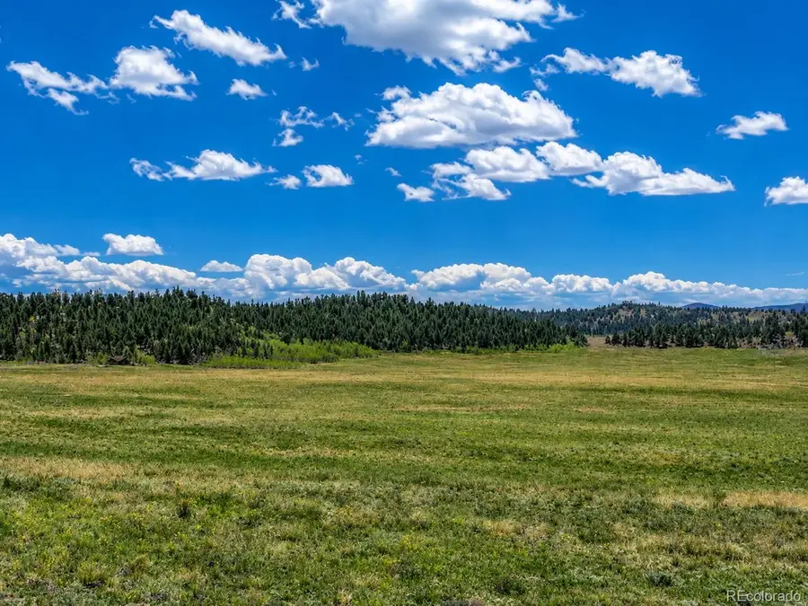 200 Cedar Lane, Hartsel, CO 80449 - #2