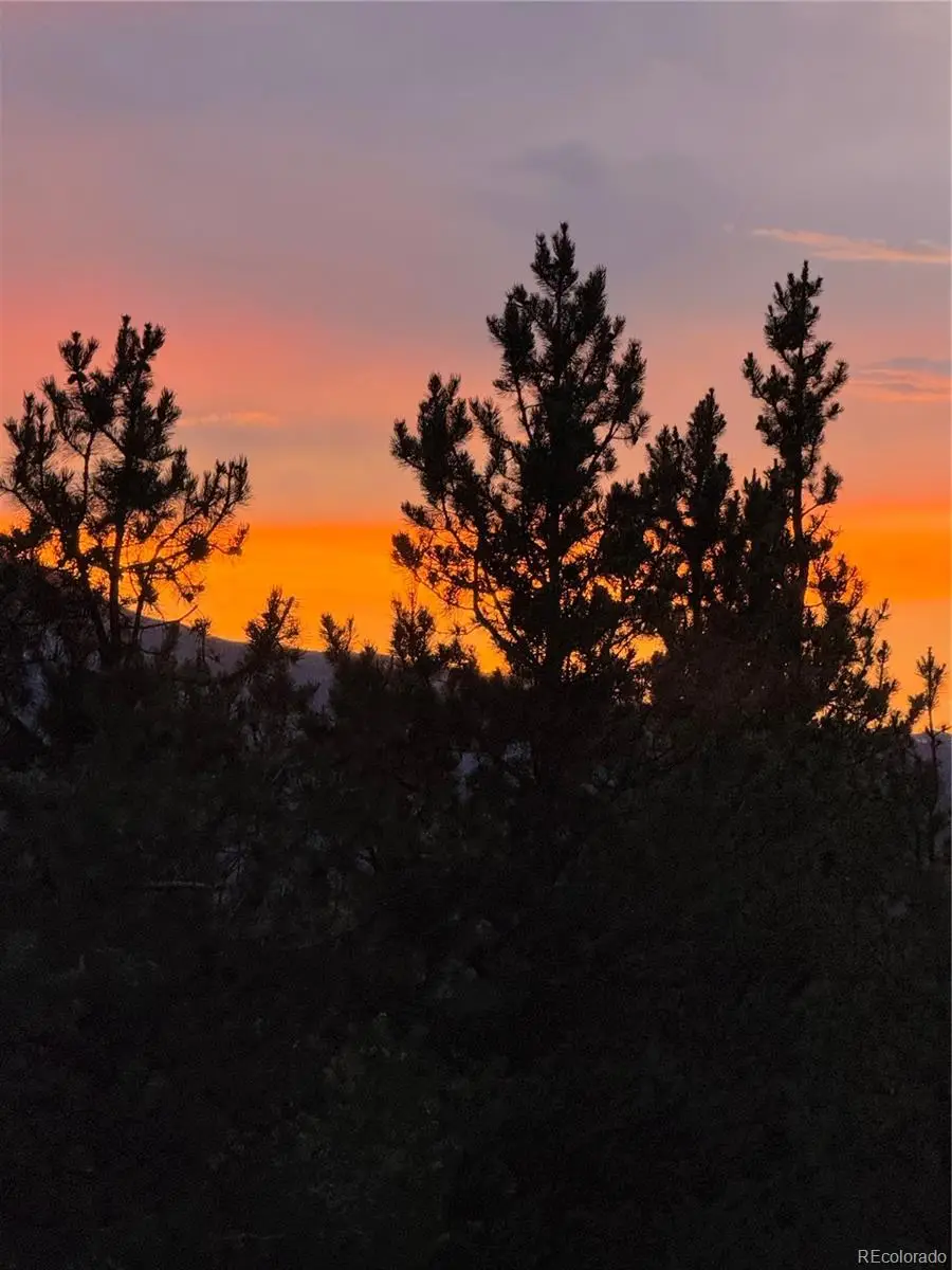 446 Mt Massive Drive, Twin Lakes, CO 81251 - #1