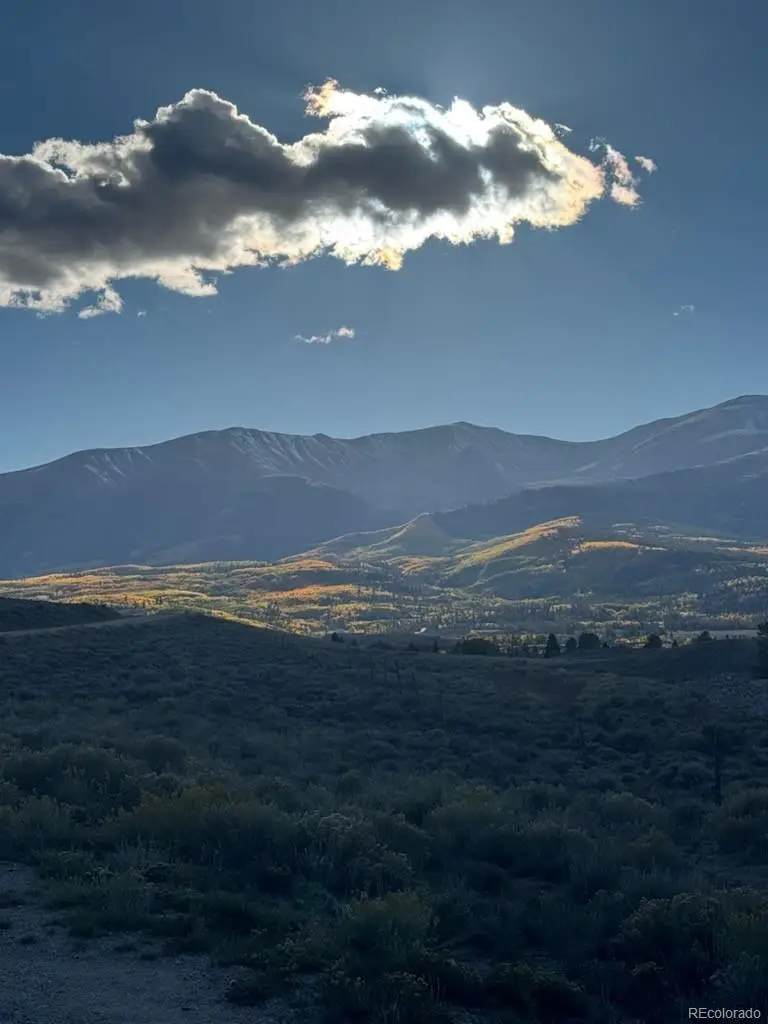 446 Mt Massive Drive, Twin Lakes, CO 81251 - #2