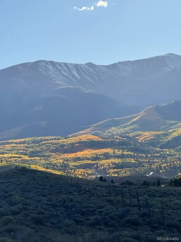 446 Mt Massive Drive, Twin Lakes, CO 81251 - #3