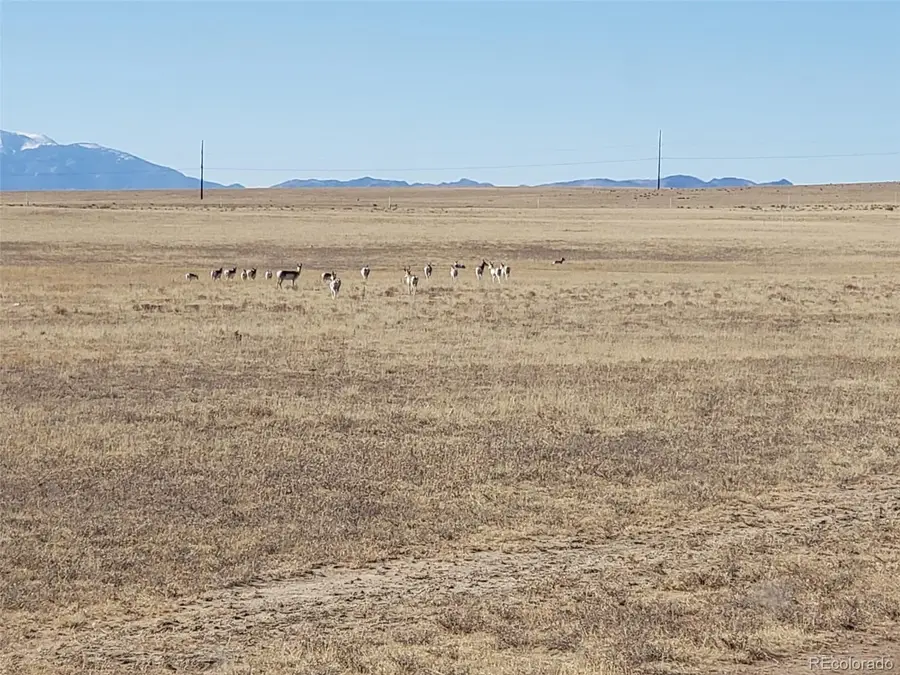 7510 Cowboy Ranch View, Peyton, CO 80831 - #2