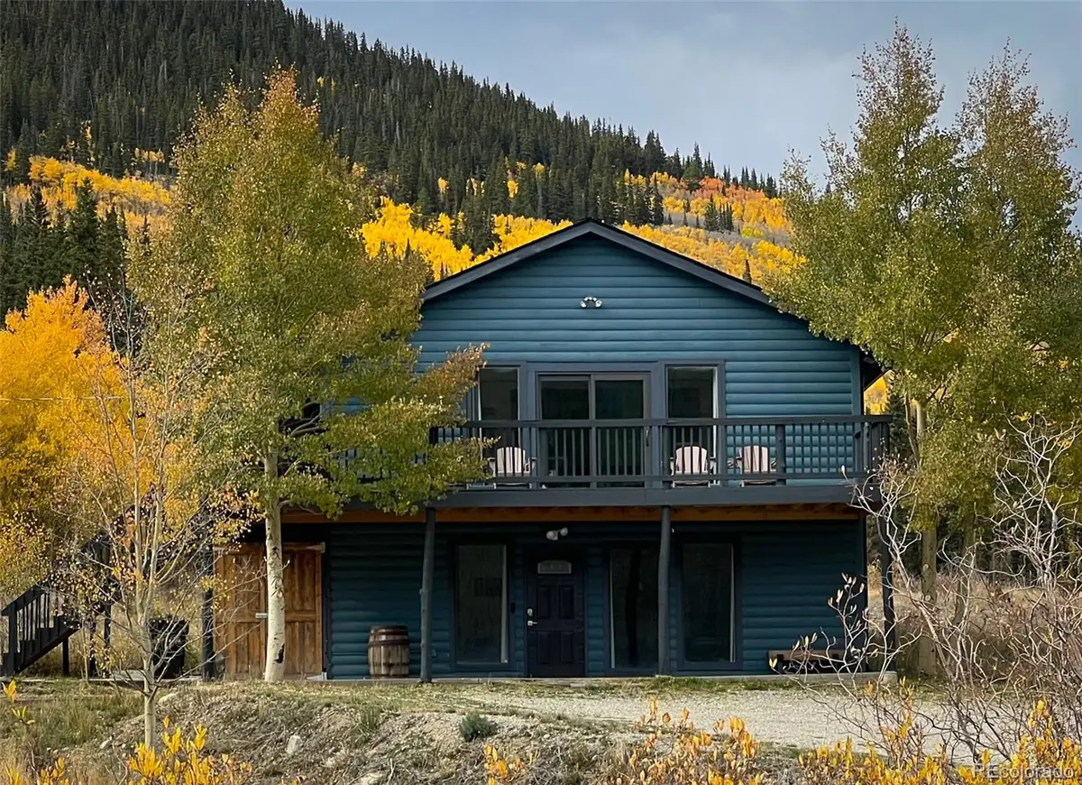 141 Quartzville Road, Alma, CO 80420 - #1