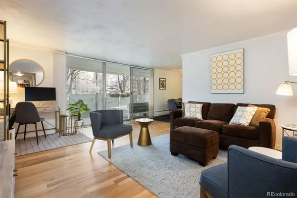 1090 N Lafayette Street #205, Denver, CO 80218