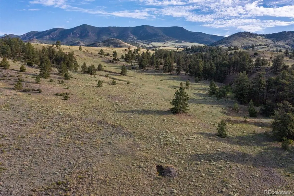 0 Big Buck Road, Guffey, CO 80820 - #1