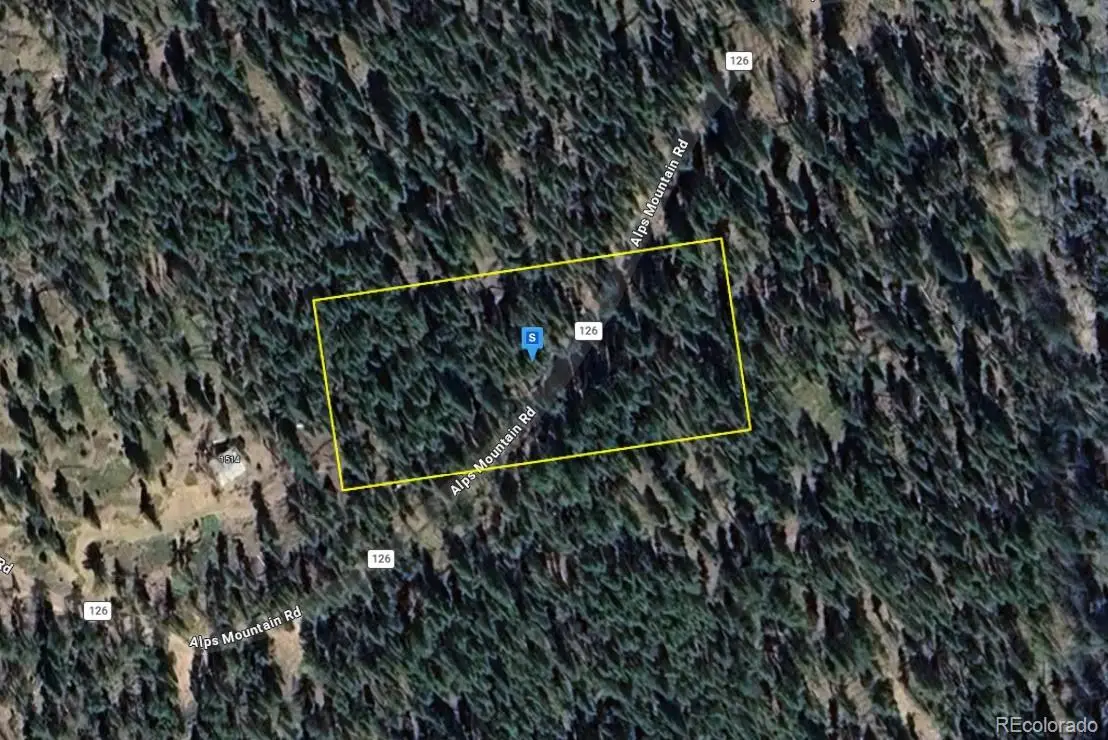 1520 Alps Mountain Road, Idaho Springs, CO 80452 - #1