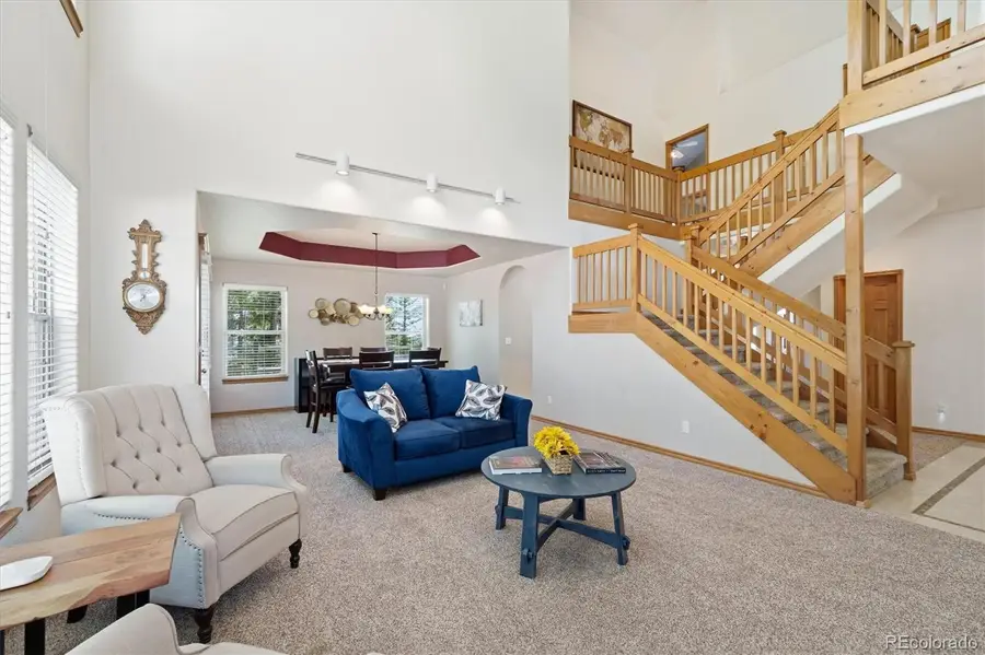 13272 Riley Peak, Conifer, CO 80433 - #3