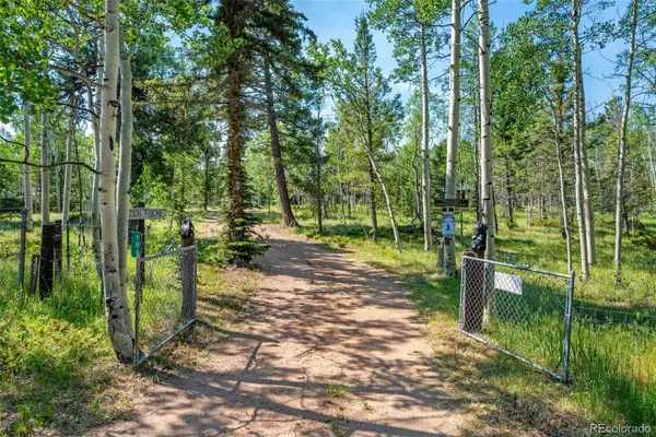 106 Forest Court, Florissant, CO 80816