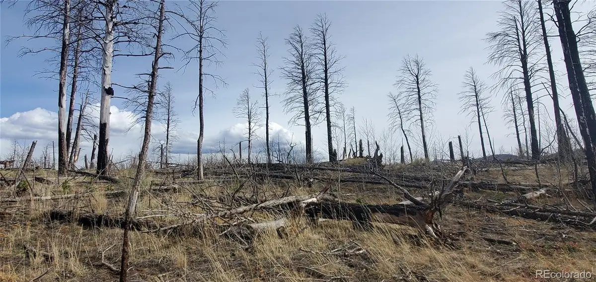 lot 1223 Emery Loop, Fort Garland, CO 81133 - #1