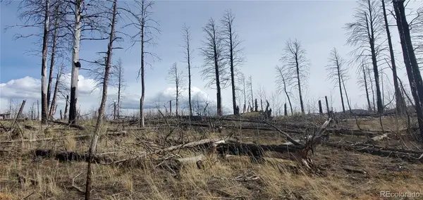 lot 1223 Emery Loop, Fort Garland, CO 81133