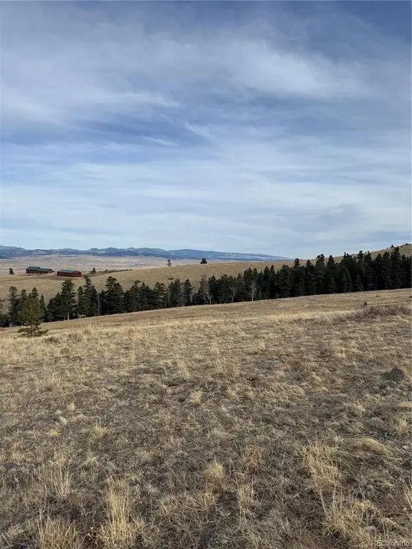 000 Louisiana Ridge, Westcliffe, CO 81252