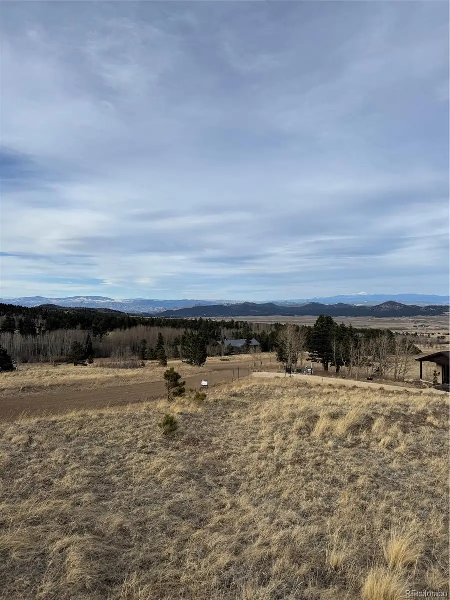 000 Louisiana Ridge, Westcliffe, CO 81252 - #2