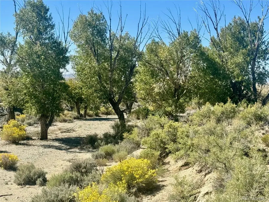 Lot 4 13th Street, Blanca, CO 81123 - #3