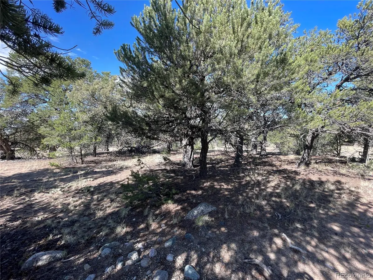 3545 Fallen Tree Place, Crestone, CO 81131 - Image #1