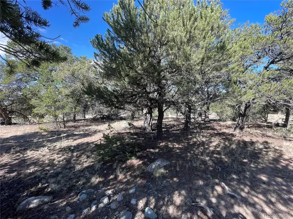 3545 Fallen Tree Place, Crestone, CO 81131