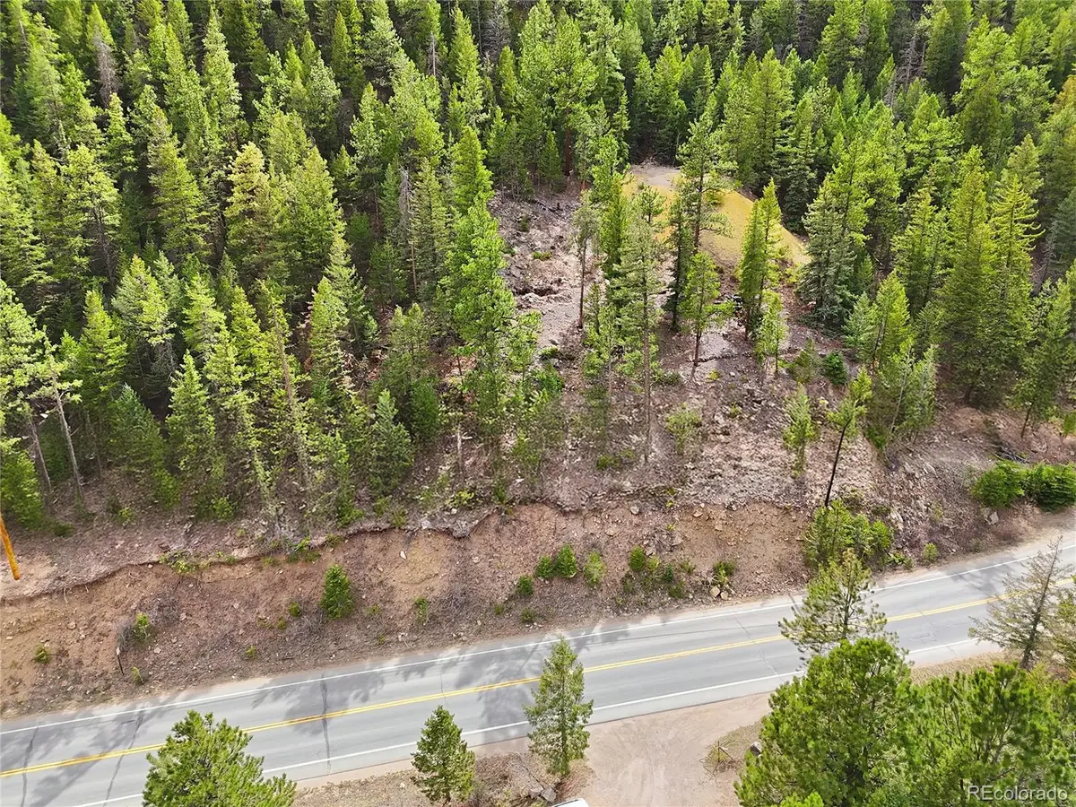 2238 Stanley Road, Idaho Springs, CO 80452 - #1
