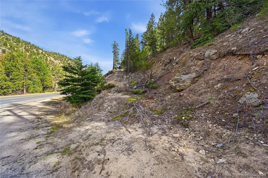 2238 Stanley Road, Idaho Springs, CO 80452 - #2