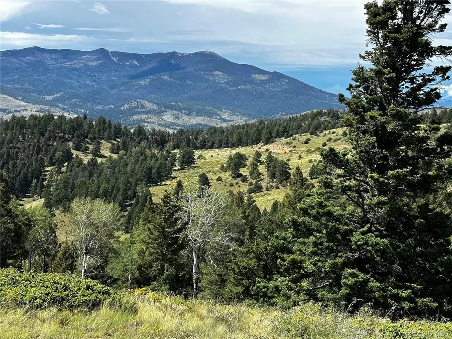 186 Flavin Lane, Fort Garland, CO 81133 - Image #2