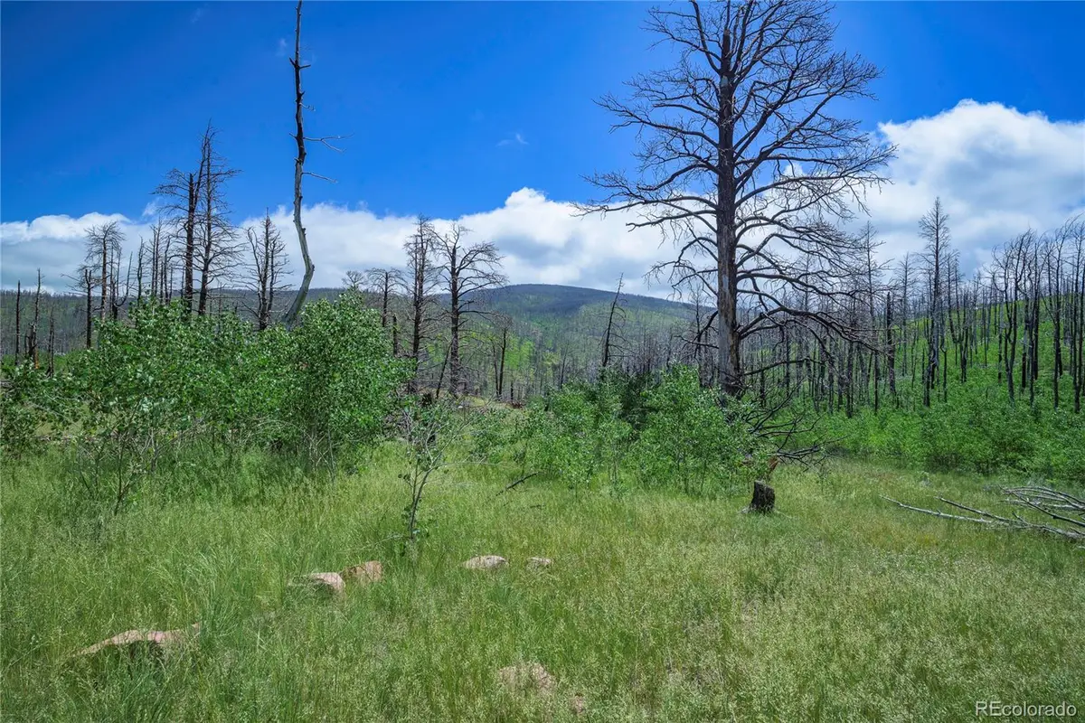 1185 Bechtel Place, Fort Garland, CO 81133 - Image #1