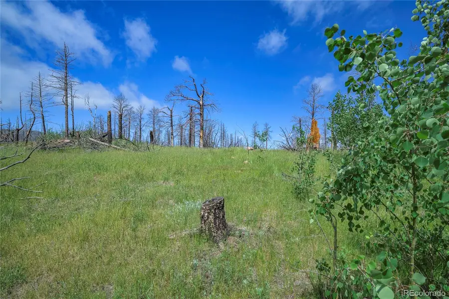 1185 Bechtel Place, Fort Garland, CO 81133 - Image #3